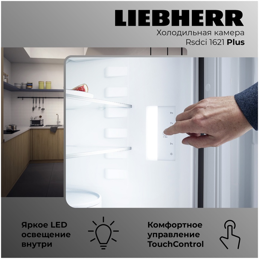 Однокамерный холодильник Liebherr Rsdci 1621-20 001, серебристый фото 2