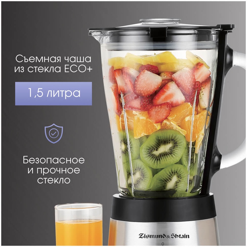 Блендер стационарный Zigmund & Shtain BS-448 D фото 7