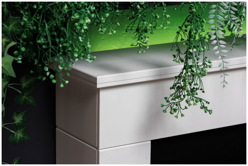 Каминокомплект Royal Flame Bergen (Разборный) Белый с черным с очагом Vision 42 LOG LED фото 3
