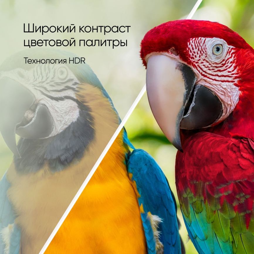 Телевизор Topdevice TDTV50CQ08U_BK, 50 дюймов, 4K Ultra HD, смарт ТВ, WildRed, черный фото 18